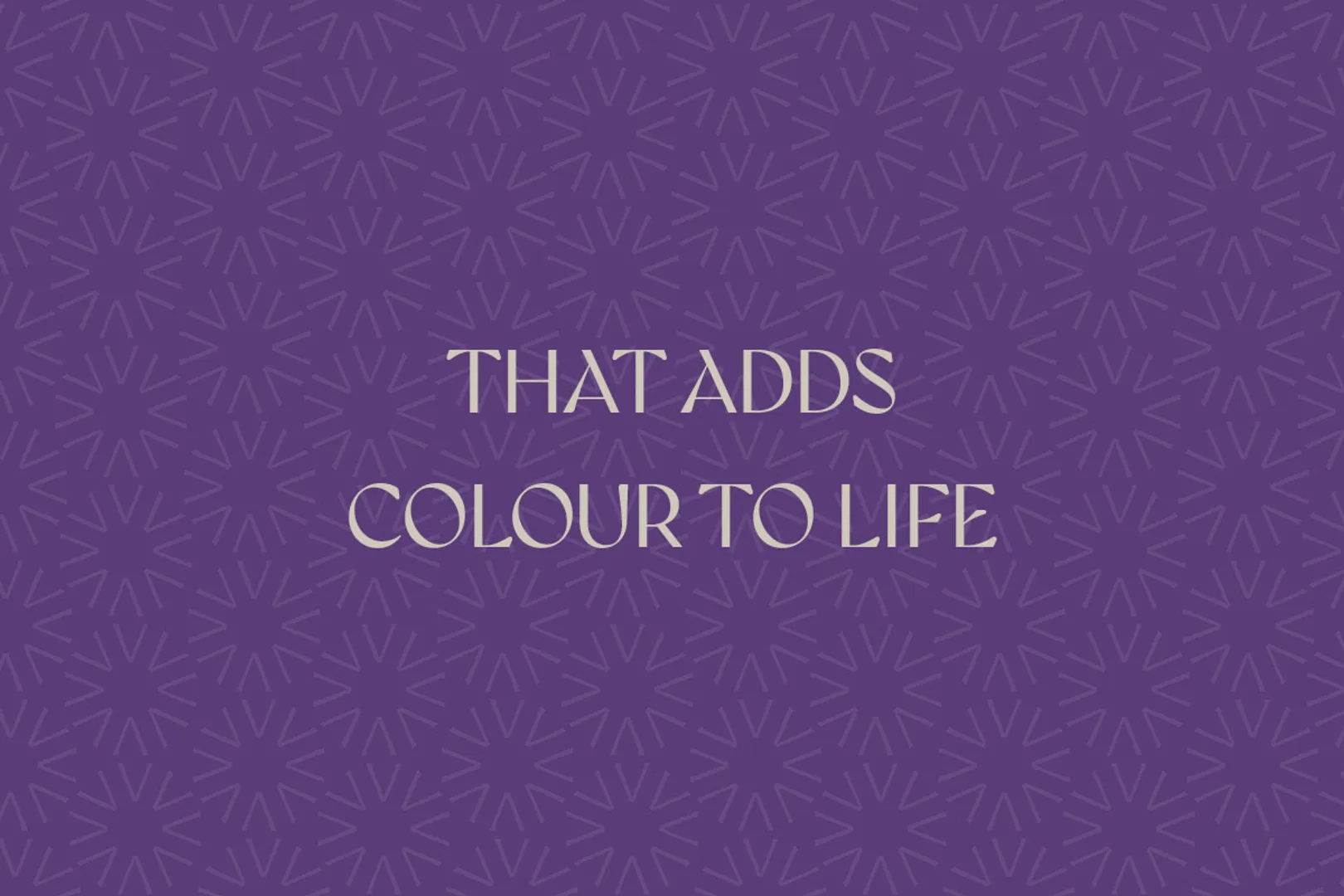 Violet 4 — image 4